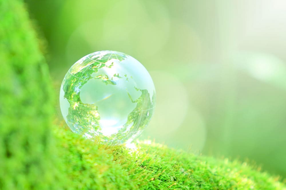 「A型施設サルビア」は利用者ができるお仕事の見積依頼もお受けしています！